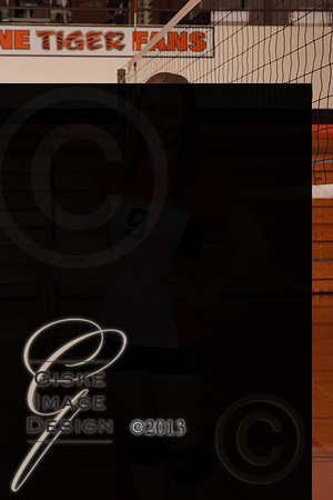 jvVB_5783new