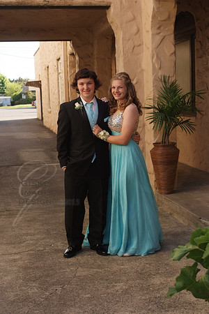 napaProm9407