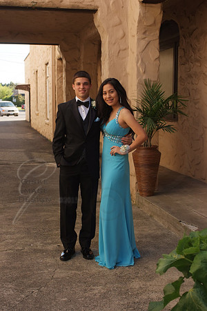 napaProm9400