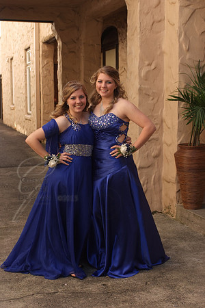 napaProm9435