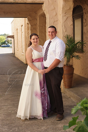 napaProm9320