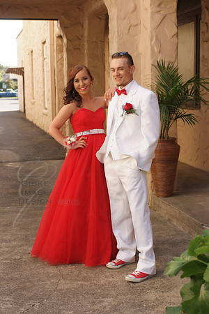 napaProm9378