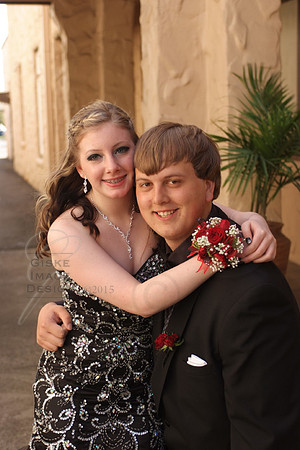 napaProm9337
