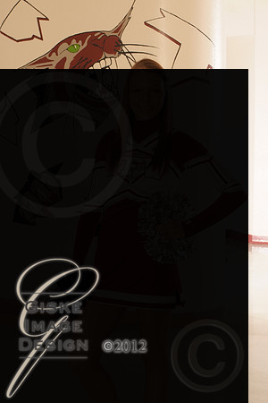 cheer5528new