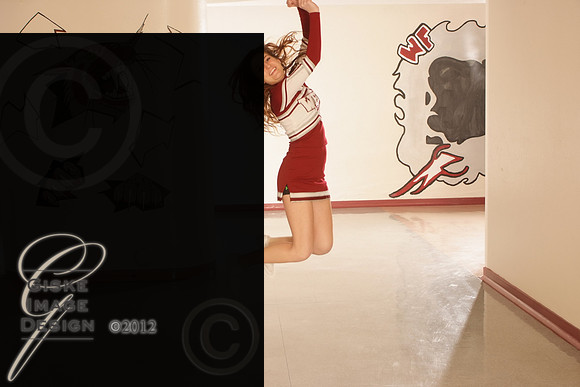cheer5501_alt