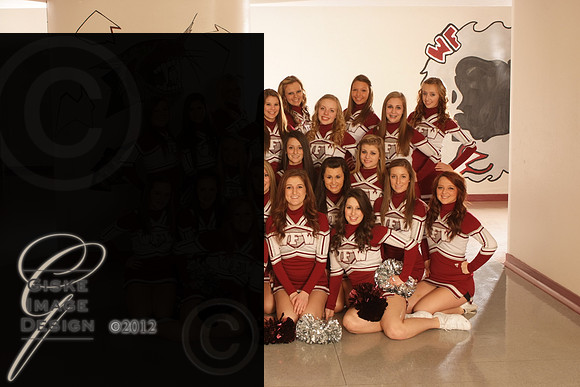 cheer5509_alt