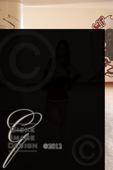 cheer5512_alt