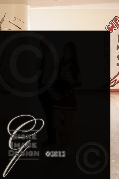 cheer5515_alt