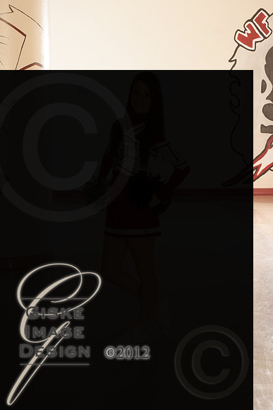cheer5517_alt