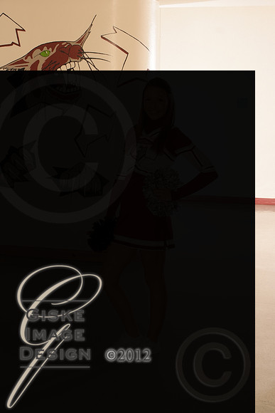cheer5524_alt