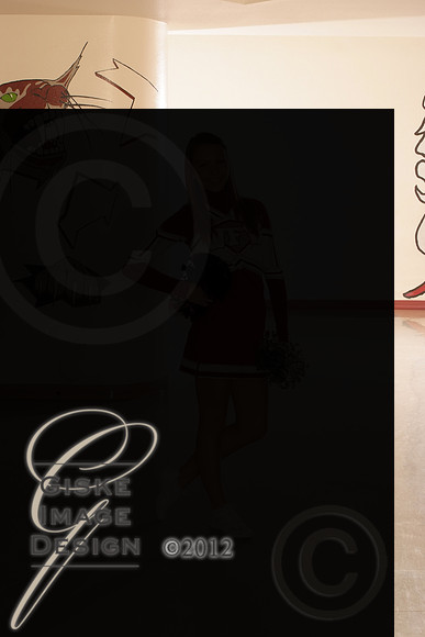 cheer5526_alt