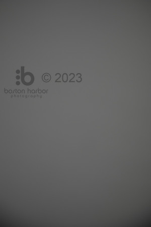 0242_CCGrad2023