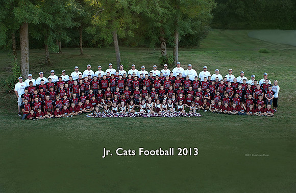 jrcats0273_2013b_txt