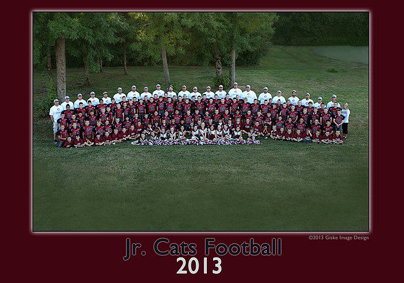 jrcats0273_2013c