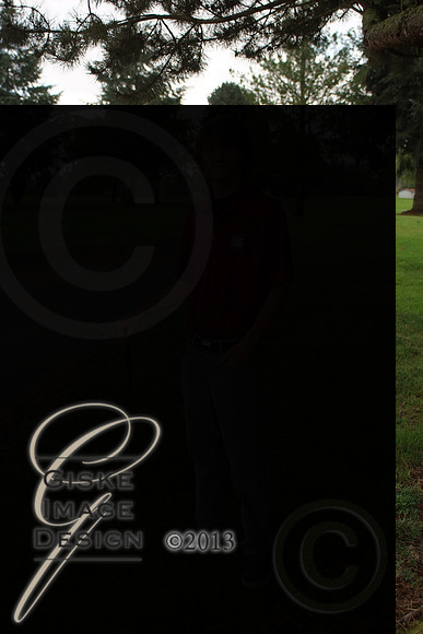 bGolf6346_alt