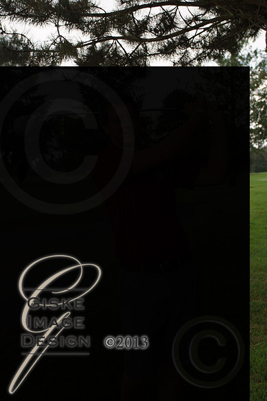 bGolf6351_alt