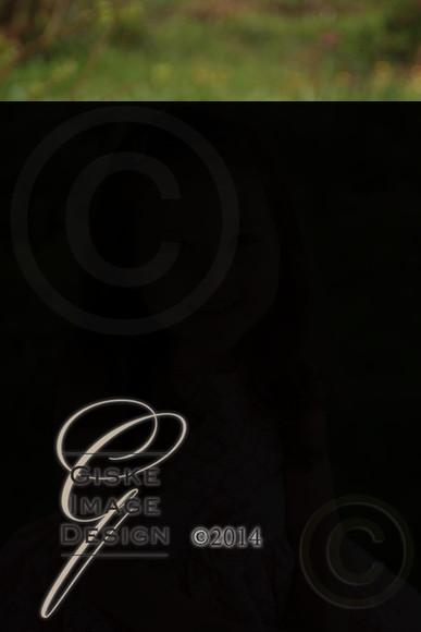 mv_8238_alt