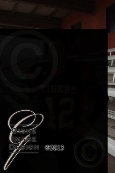 hsFB_5596