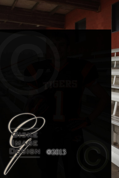 hsFB_5607_alt