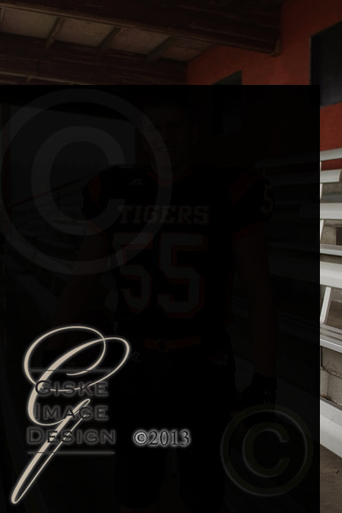 hsFB_5603_alt