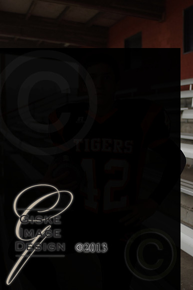 hsFB_5595_alt