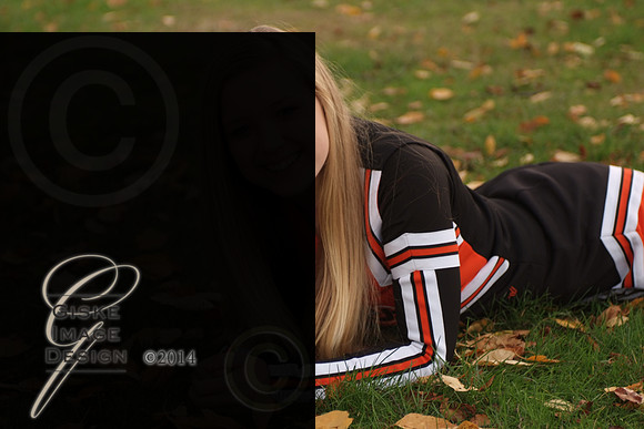 napacheer4026_alt