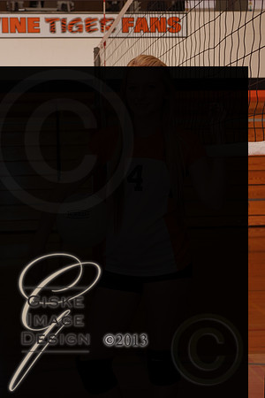 jvVB_5784new